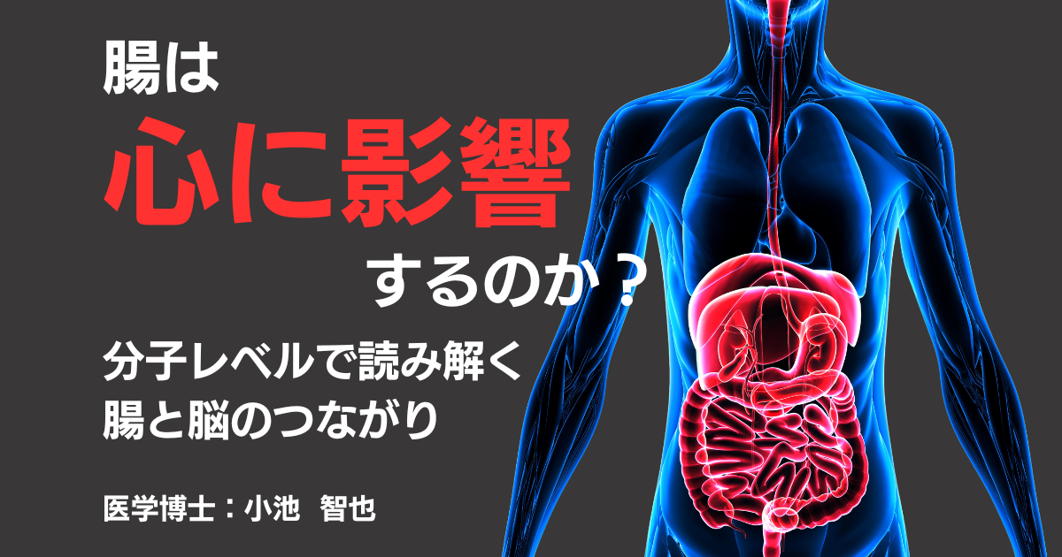 腸は【第二の脳】なのか？腸内環境と心の不調の医学的メカニズム を解説したAI福祉ラボの記事のアイキャッチ画像